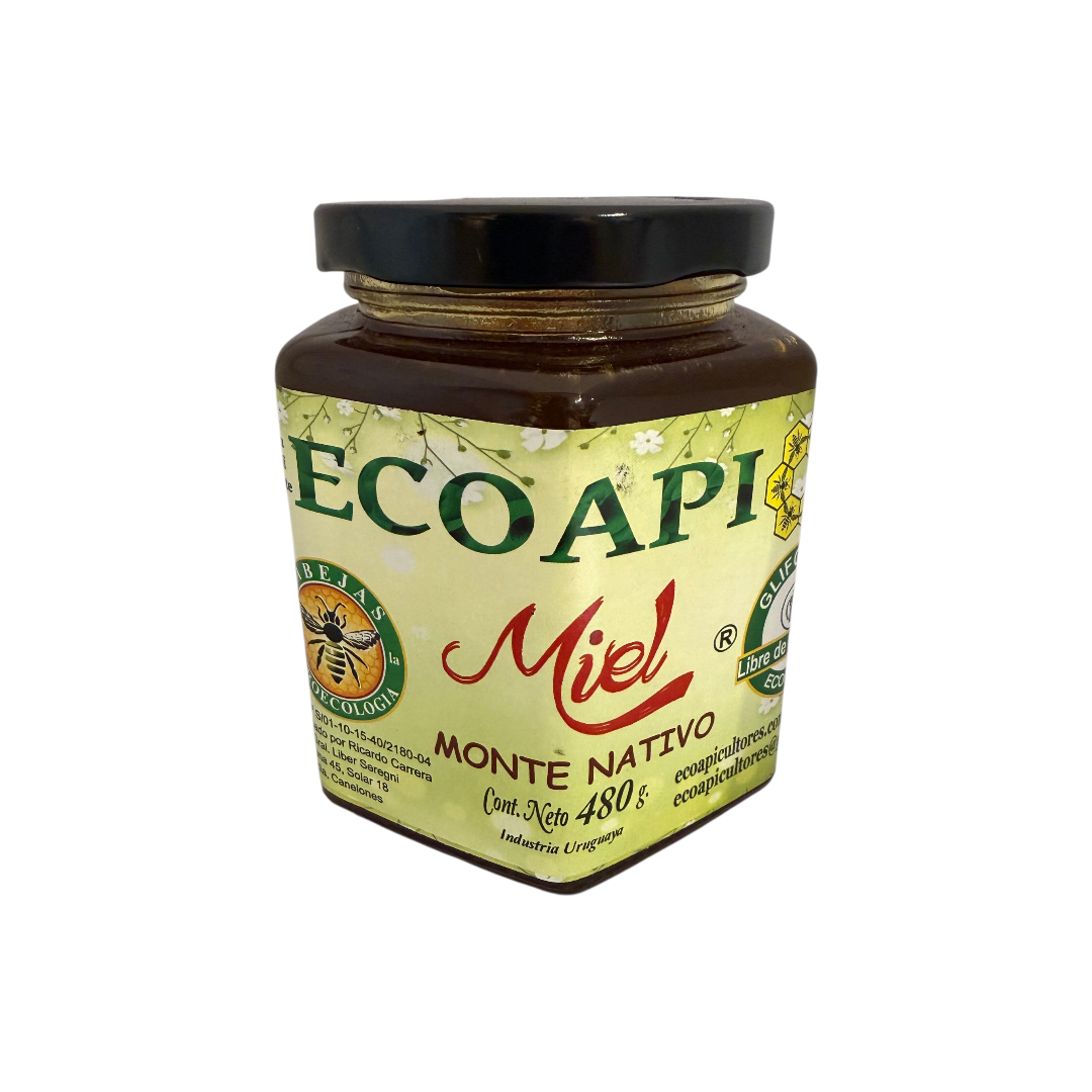 Miel monte nativo ECOAPI 480 gr