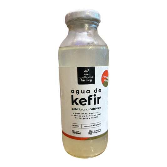 Agua de kefir naranja y lúpulo 330 ml